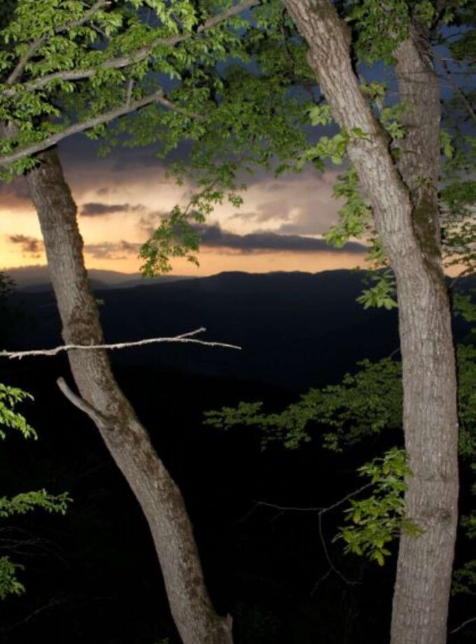 <img src=“Elene Duduchava's photo Betania” alt=“Nature Landscape, Sunset” title=“Landscape Betania”