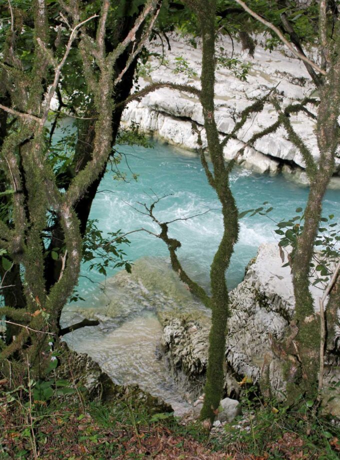 <img src=“Elene Duduchava’s photo Tke“alt=Nature”title=“Tke”