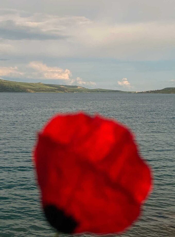 <img src=“Saba Laliashvili’s photo Sevda“alt=Red”title=“Sevda”