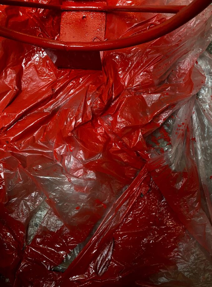 <img src=“Salome Kunelauri’s photo Tsiteli“alt=Red”title=“Tsiteli”