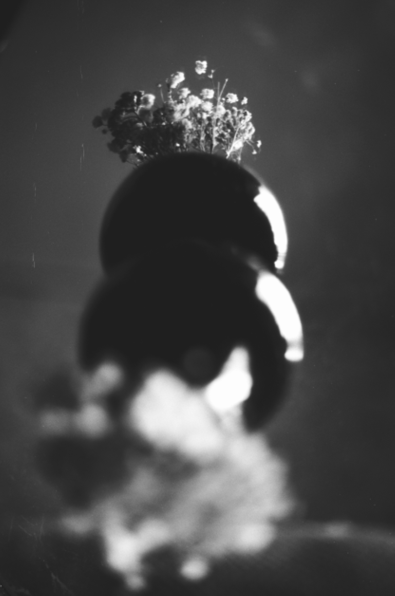 <img src=“Ana Lotuashvili Reflection” alt=“Black and white vase reflection” title=“Film photo”