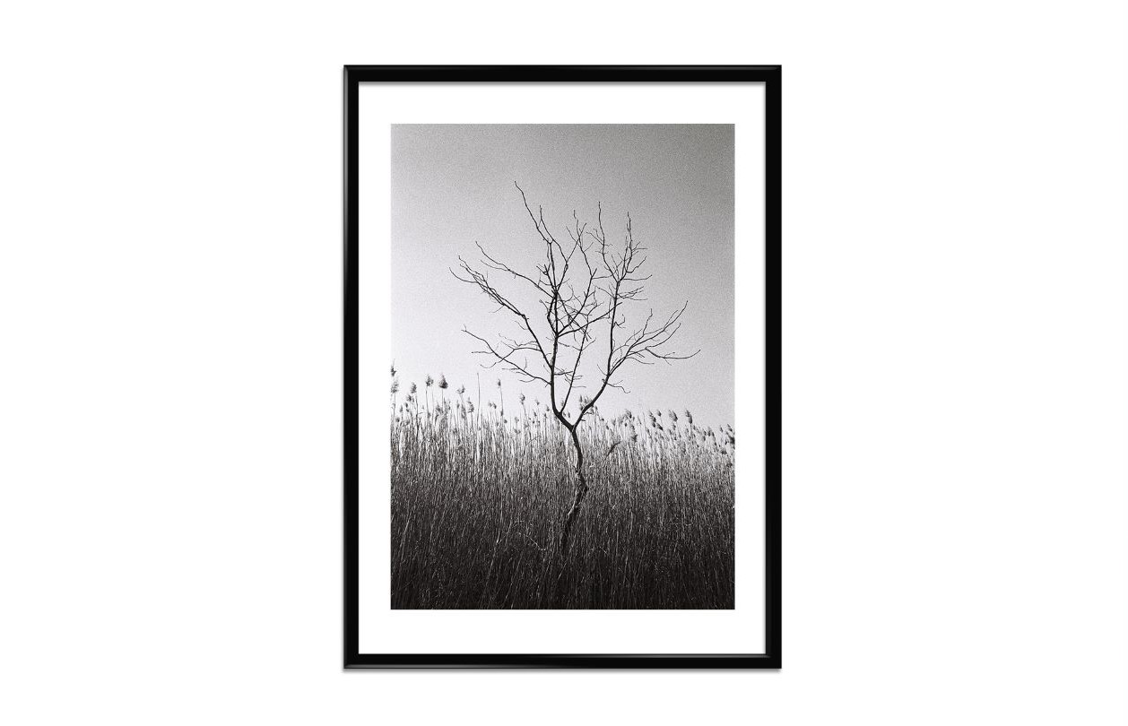 <img src=“Berika Beridze Martokhe” alt=“Photo in black and white” title=“Martokhe - Alone Tree”