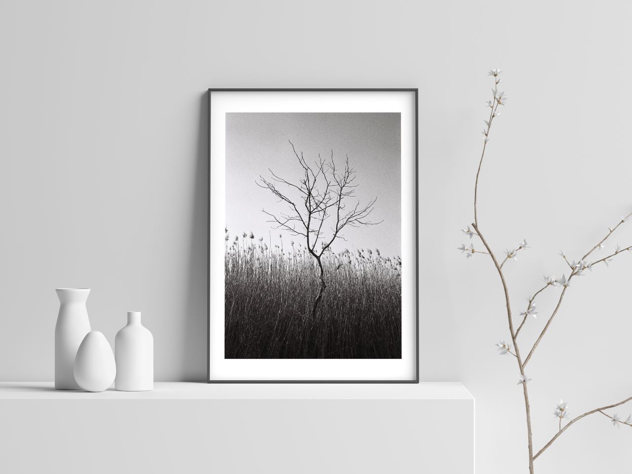 <img src=“Berika Beridze Martokhe” alt=“Photo in black and white” title=“Martokhe - Alone Tree”