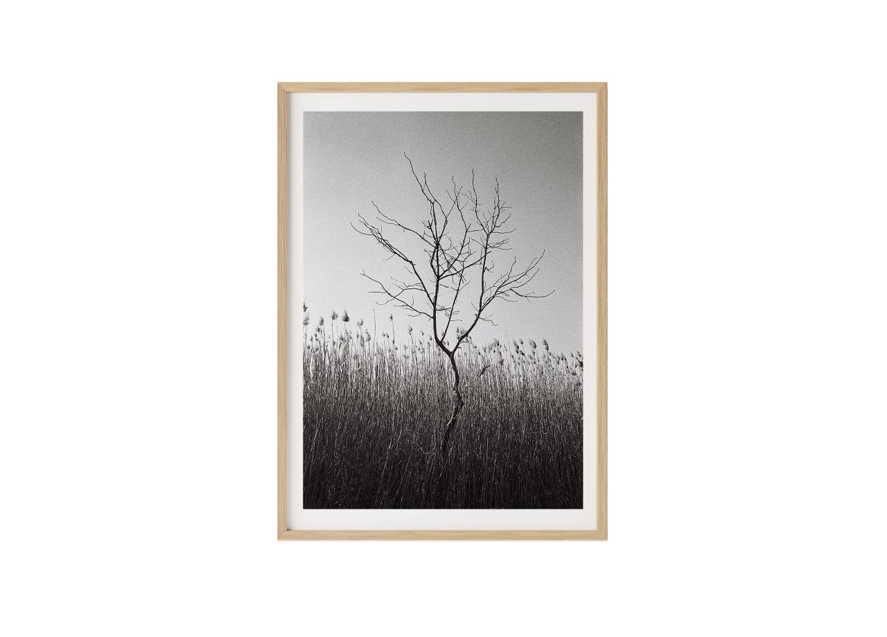 <img src=“Berika Beridze Martokhe” alt=“Photo in black and white” title=“Martokhe - Alone Tree”