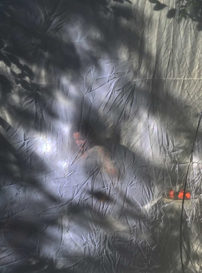 <img src=“Nino Janideri’s photo I see lightness in gravity“alt=White”title=“I see lightness in gravity”