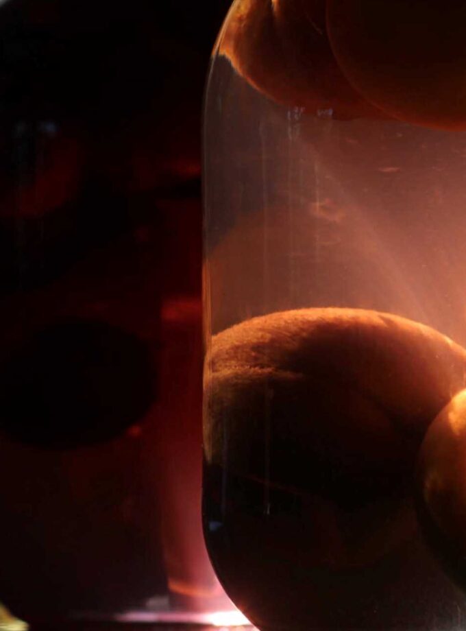 <img src=“Qeti Dolidze’s photo Gurieli 1“alt=Other”title=“Gurieli”