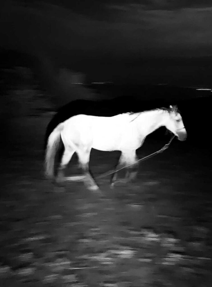 <img src=“Gogiko Sakvarelidze’s photo Usatauro“alt=Black and white”title=“Untitled”