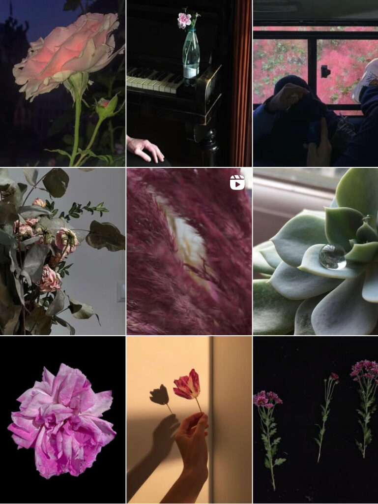 Tbilisi Collective Instagram grid for category Flowers